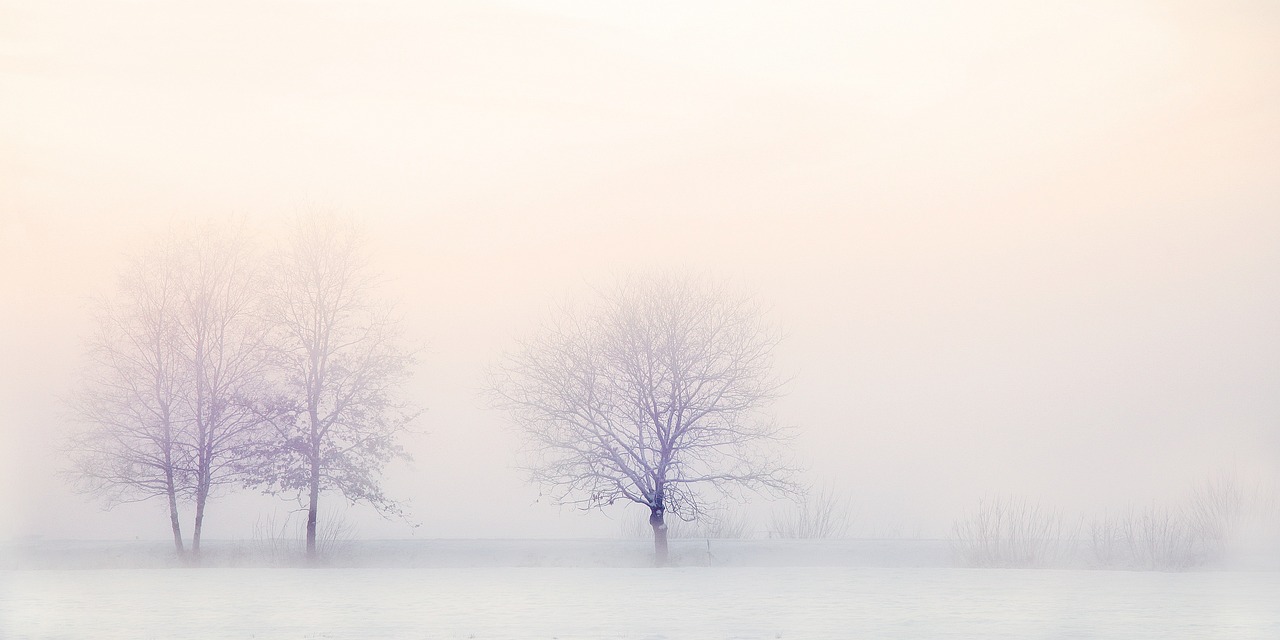winter landscape, trees, snow-2571788.jpg